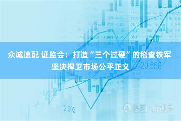 众诚速配 证监会：打造“三个过硬”的稽查铁军 坚决捍卫市场公平正义