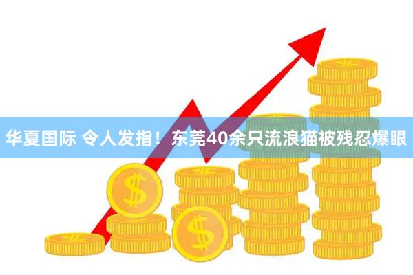 华夏国际 令人发指！东莞40余只流浪猫被残忍爆眼