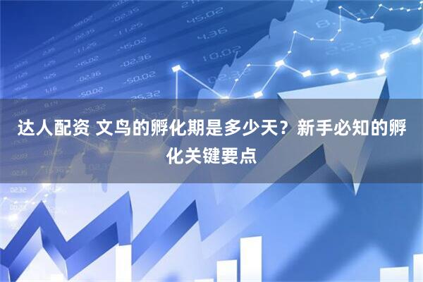 达人配资 文鸟的孵化期是多少天？新手必知的孵化关键要点
